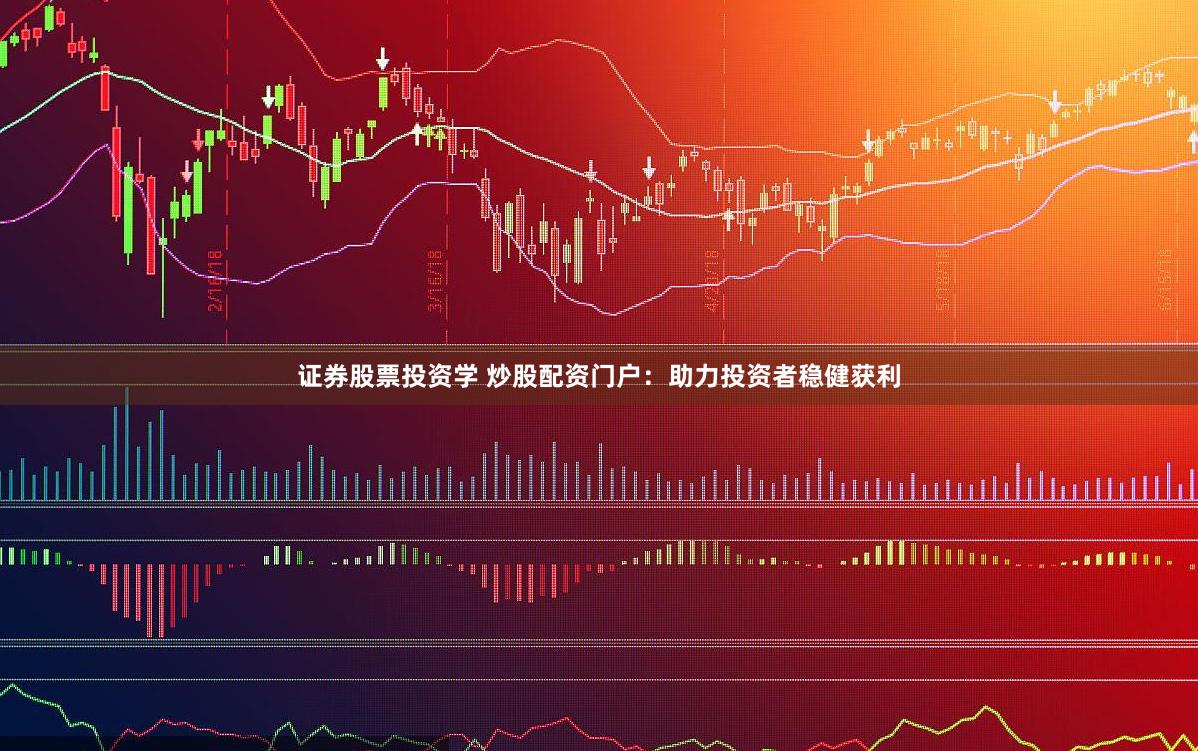 证券股票投资学 炒股配资门户：助力投资者稳健获利